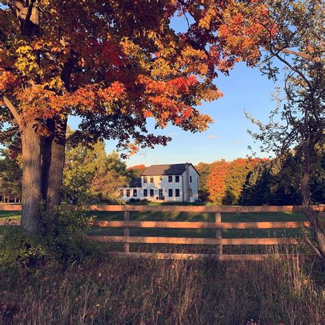 Field Notes Uxbridge