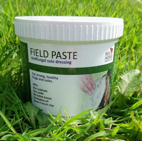 field paste for horses
