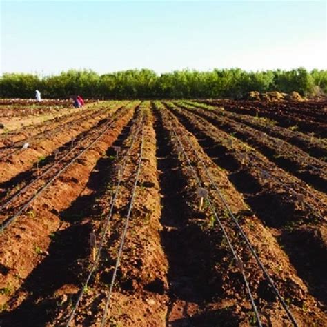 field plot technique
