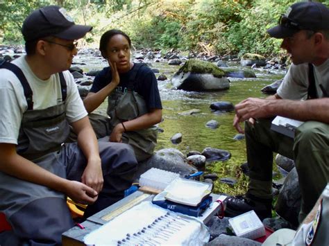 Field Work Scientist