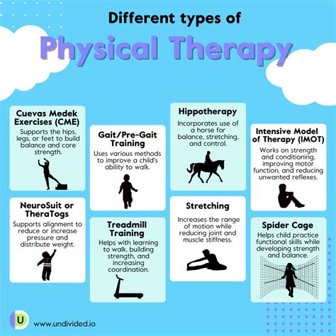 Physical Therapy Fields