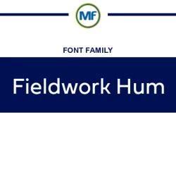 fieldwork hum demibold font free download