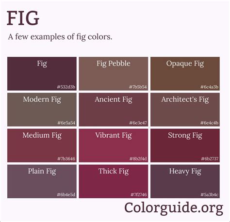 Fig Color