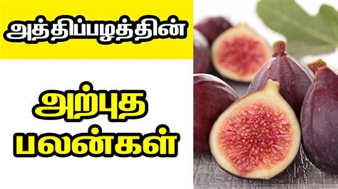 fig fruit benefits in tamil