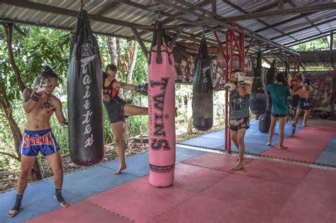 fight camps in thailand