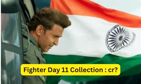 fighter day 11 collection sacnilk