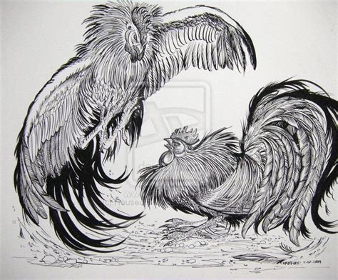 fighting roosters images black and white