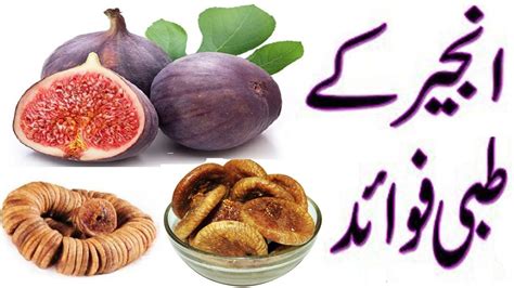 figs fruit in urdu