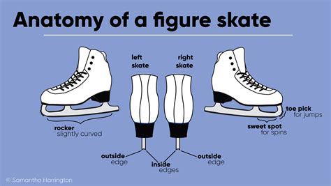 Figure Skating Components