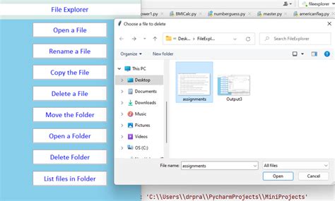 File Browser Tkinter