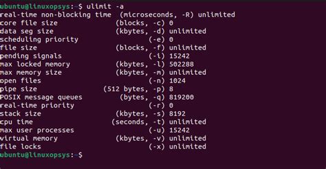 File Descriptor Check