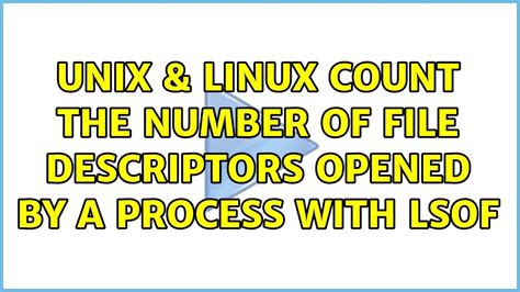 File Descriptor Count On Linux