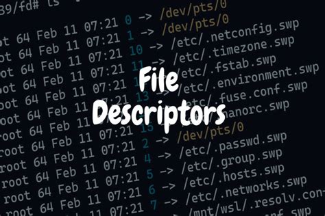 File Descriptor Get Name