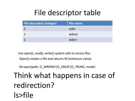 File Descriptor Int C++