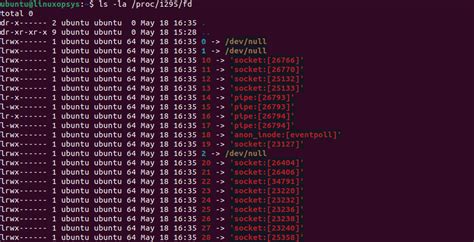 File Descriptor Linux
