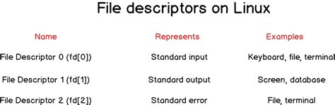 File Descriptor Redirection Linux