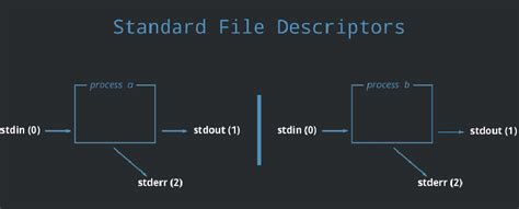File Descriptor Socket Linux