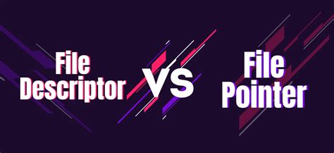 File Descriptor Vs File Pointer