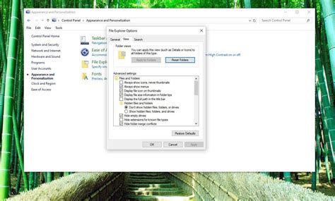 File Explorer Hidden Files