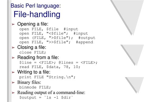 File Handling In Perl Script