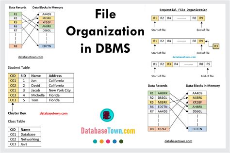 File Organization In Dbms With Example