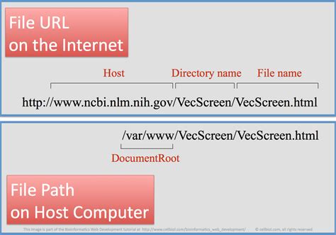 File Path Vs Url
