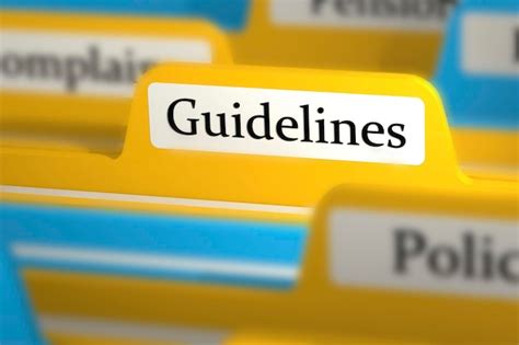 File Storage Guidelines