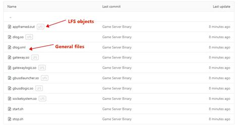 File Storage In Gitlab