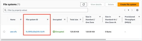 File System Id Aws