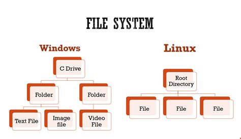 File System Mac Windows Linux