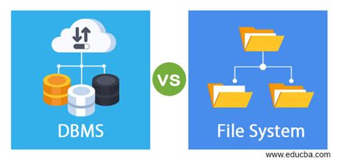file system vs database management system
