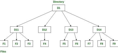 File System Vs Directory Tree