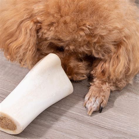 Filled Dog Bones Petsmart