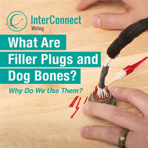 Filler For Dog Bones