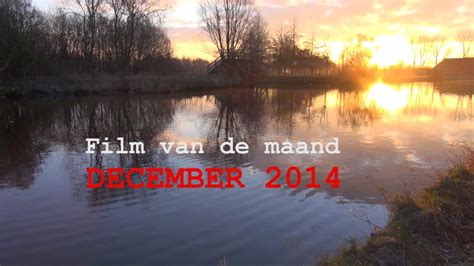 film van de maand