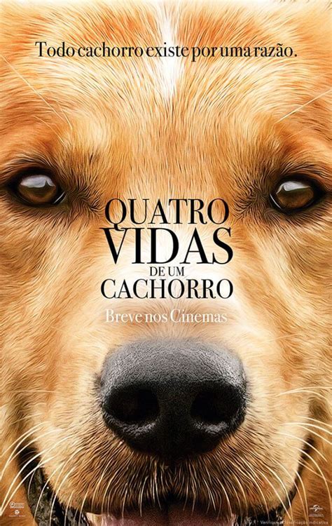 filme em que o cachorro morre