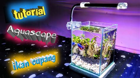 Aquarium Cupang Unik Shopee Aquarium Mini P17cm