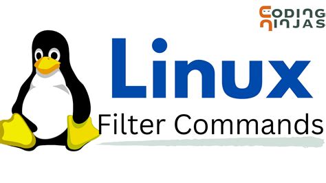 Filter By Size Linux