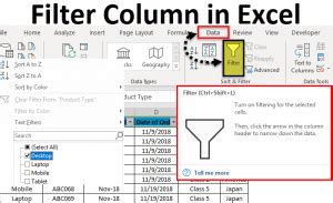 Filter Column In Excel
