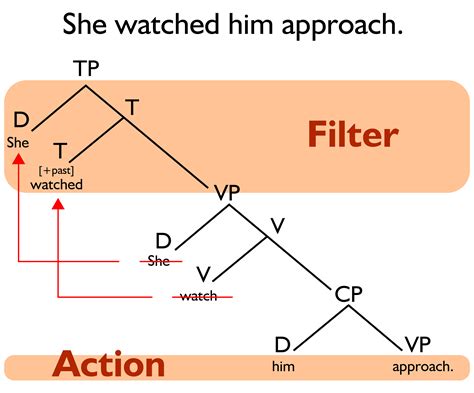 Filter Def Verb