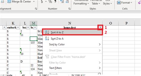 Filter Excel Sort