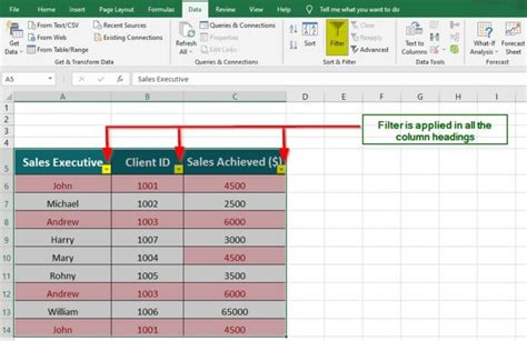 Filter Function Remove Duplicates