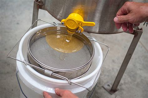 Filter Honey Process