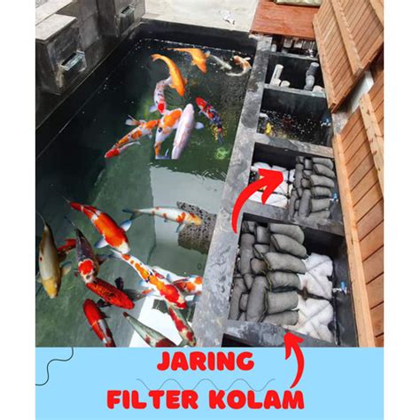 Filter Kolam Koi