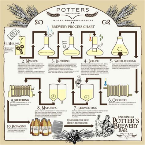 Filter Wort Before Fermentation