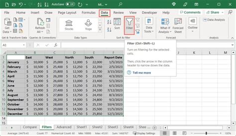 5 Excel Filter Tips