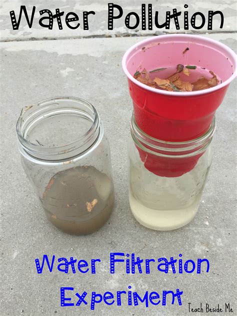 Filtration Activity At Home
