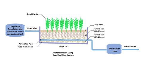 Filtration Bed Design