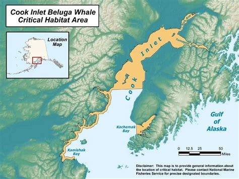 fin whale critical habitat