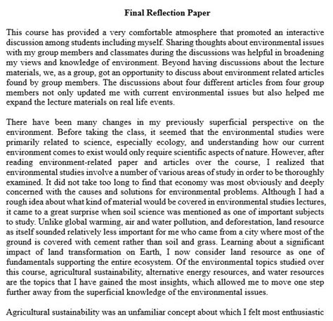 Final Reflection Paper Example